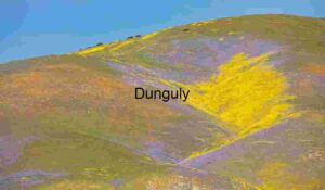 Artist’s Palette – Wildflower Super Bloom on Rolling Hills