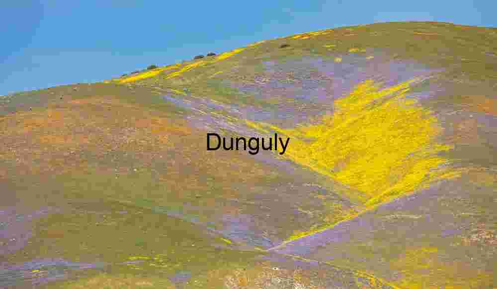 Artist’s Palette – Wildflower Super Bloom on Rolling Hills