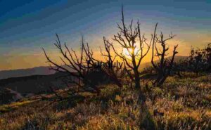 Twilight Silhouettes: Sunset Over Wild Terrain