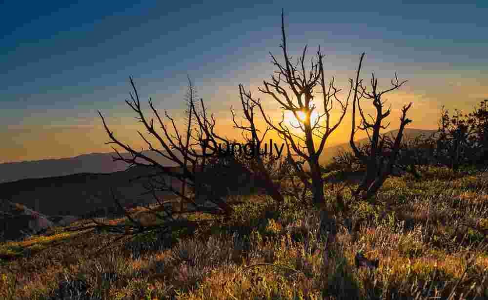 Twilight Silhouettes: Sunset Over Wild Terrain