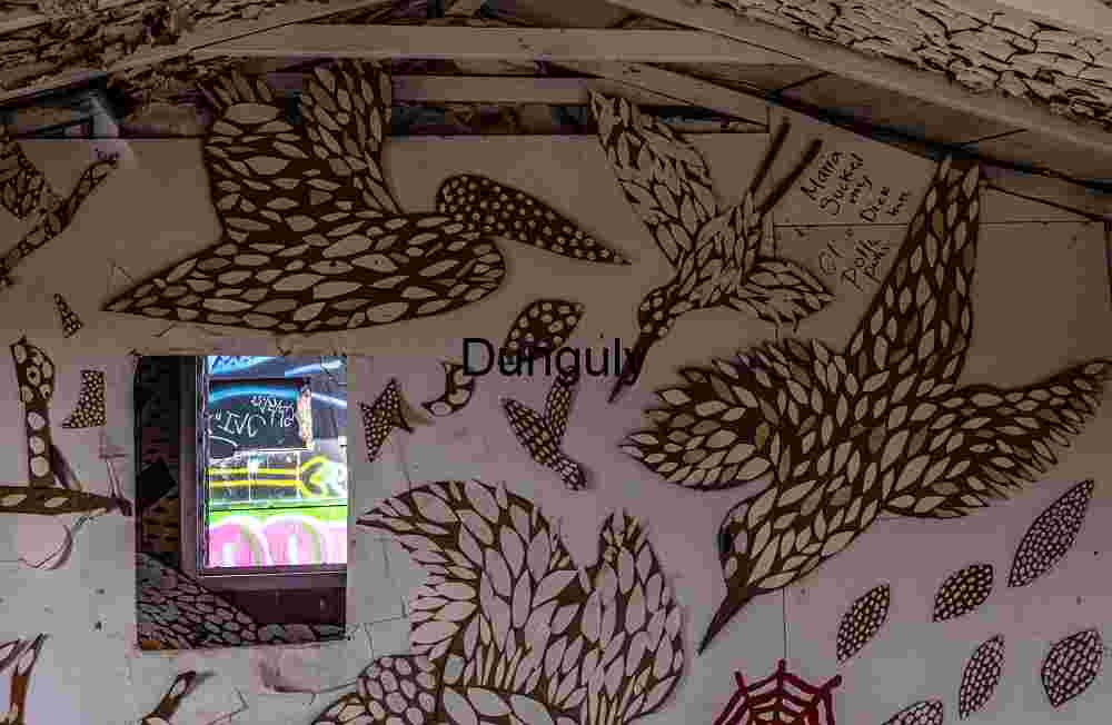 Bird Motifs and Urban Decay Framed by Street Graffiti