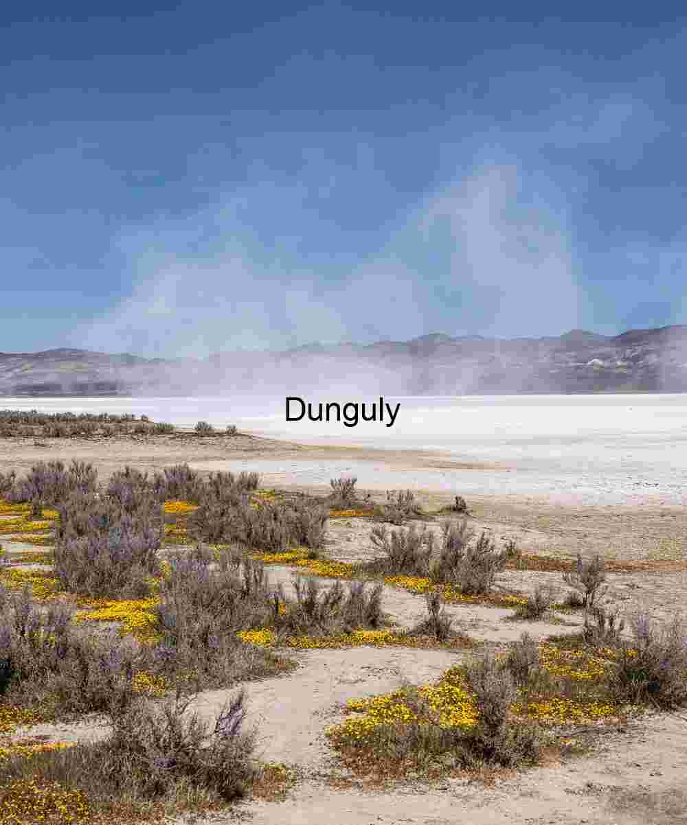 Blowing Salt on Soda Dry Lake – Carrizo Plain National Monument