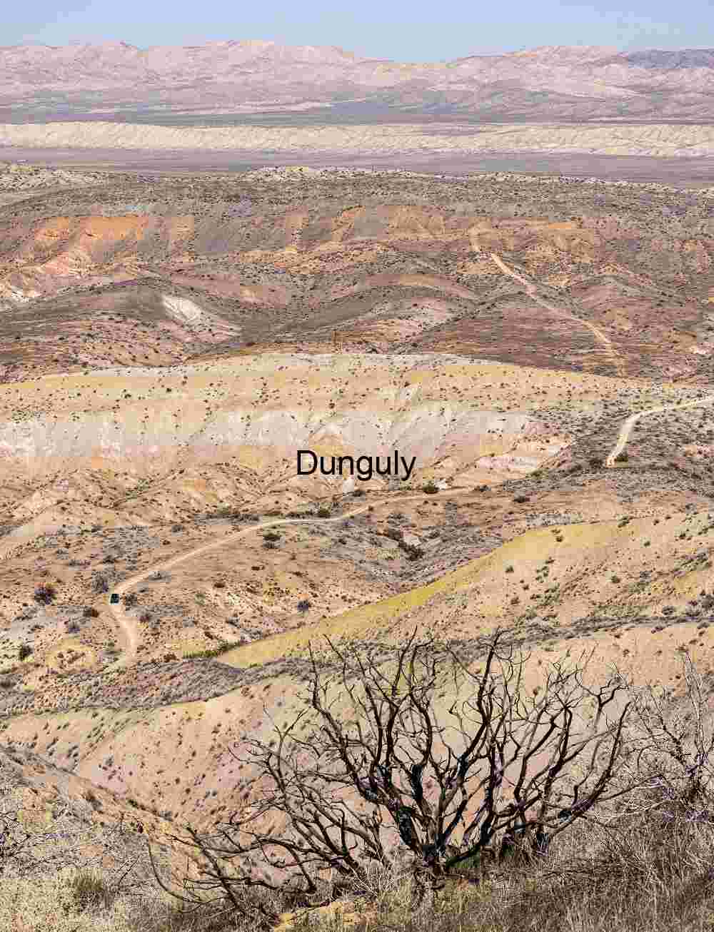 Burnt Tree with Temblor Range in the Distance – Carrizo Plain