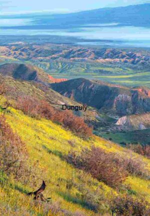 Golden Bloom Over Hills: A Landscape of Light and Layers