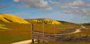 Rustic Path Through Spring Bloom: A Journey into Color and Quiet