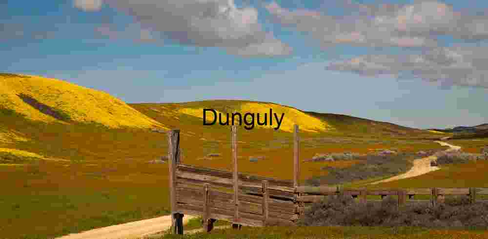 Rustic Path Through Spring Bloom: A Journey into Color and Quiet