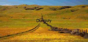 Spring Path Through Blooming Hills