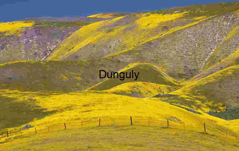 Curving Fence Amid Super Bloom – Carrizo Plain