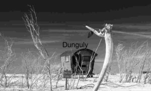 Dead Sea Forest: Echoes of a Vanished Ecosystem