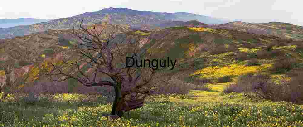 Dead Tree and Wildflower Carpet – Caliente Mountains, Carrizo Plain National Monument