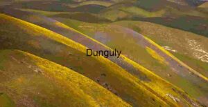 Painted Hills in Bloom: A Symphony of Color and Contour