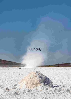 Steam and Salt: Geothermal Pulse in a Mineral Desert