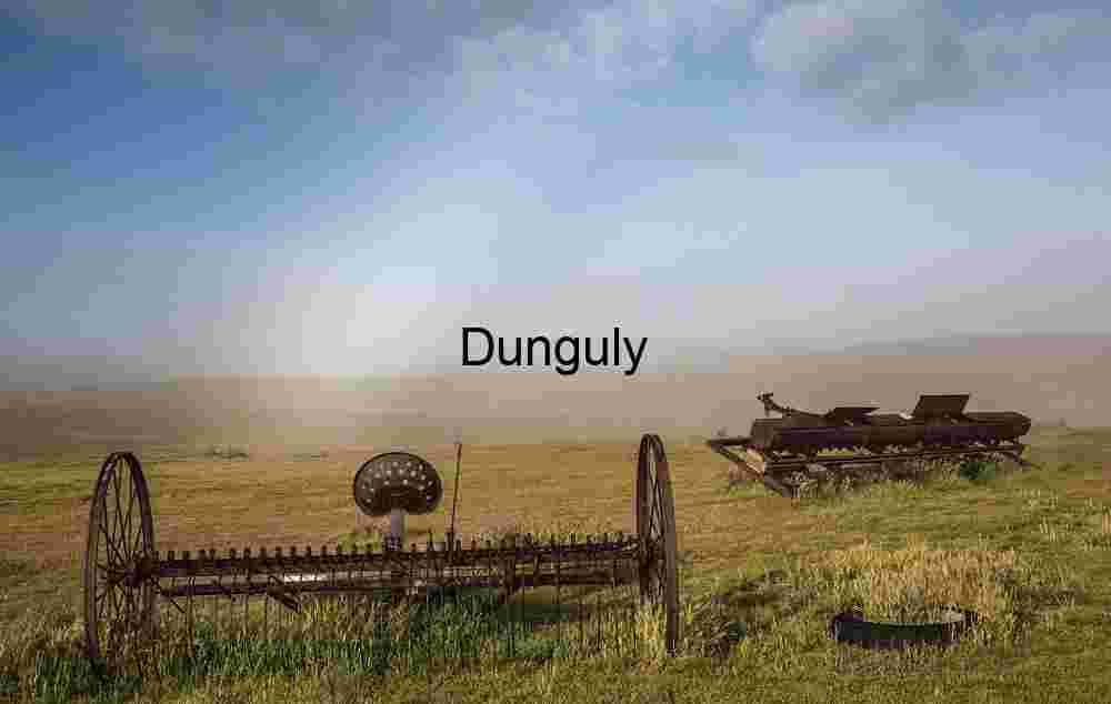 Rust and Grass: Echoes of Forgotten Harvests