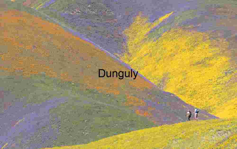 Spring Tapestry: Wildflower Hillside with Hikers