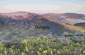 Painted Hills Awakening: Wildflowers Beneath Striated Earth