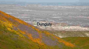 Wildflower Slope Overlooking Desert Plain