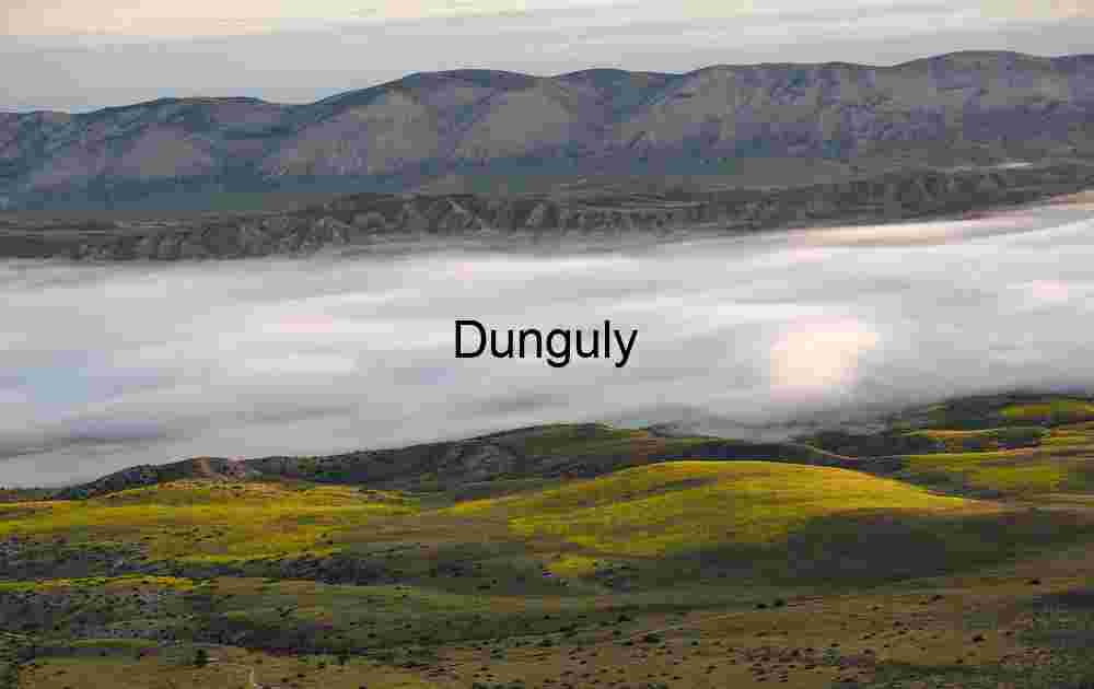 Layers of Light: Fog and Sun Across Verdant Hills