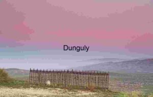 Solitary Grace: Iron Fence Beneath a Painted Sky