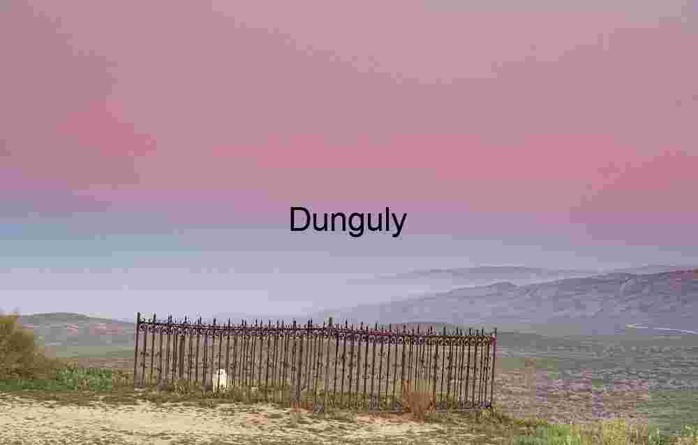 Solitary Grace: Iron Fence Beneath a Painted Sky