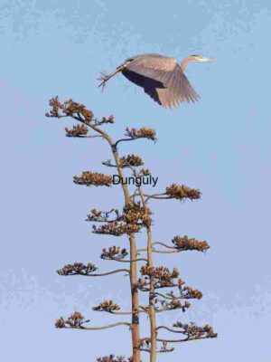 Elegance Aloft: Heron Over Blooming Silence