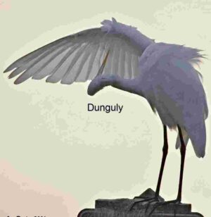 White Heron Preening: Grace in Motion