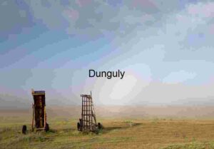 Forgotten Implements: Rusted Machinery in a Misty Field