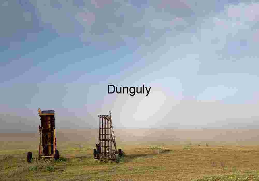 Forgotten Implements: Rusted Machinery in a Misty Field