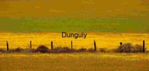 Fence Line in Bloom: Spring’s Contrast Across Open Plains