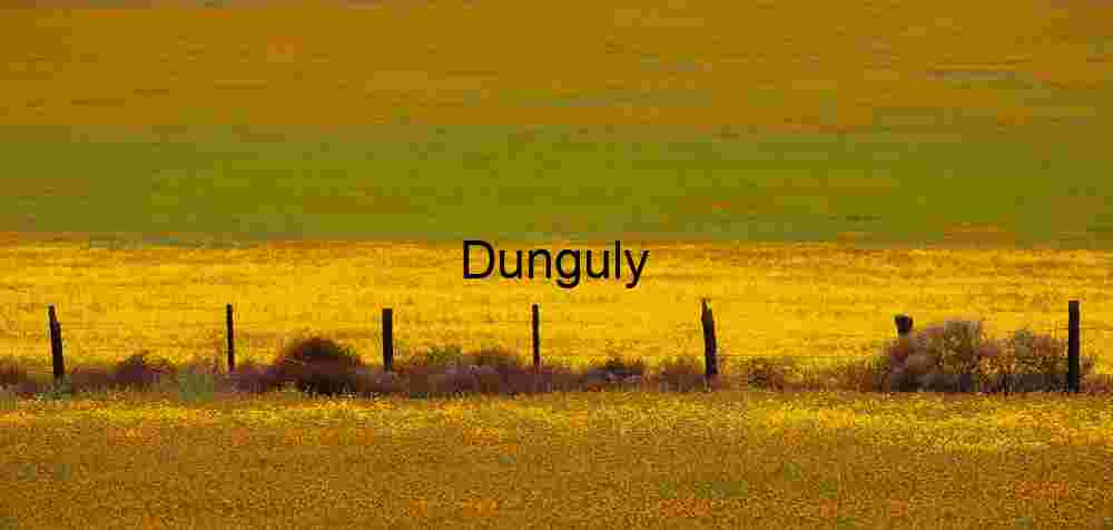 Fence Line in Bloom: Spring’s Contrast Across Open Plains