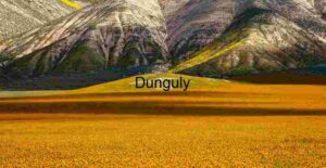 Erosion and Bloom: Orange Wildflowers Beneath Striated Peaks