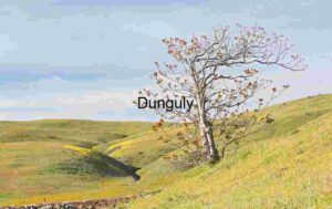 Solitary Witness: Tree on a Blooming Hillscape