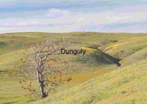 Bare Grace: Leafless Tree Amid Spring’s Awakening