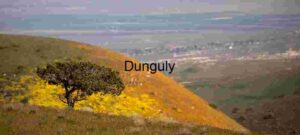 Overlooked Bloom: Solitary Tree Above the Valley