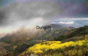 Golden Wildflowers Beneath Misty Mountain Skies