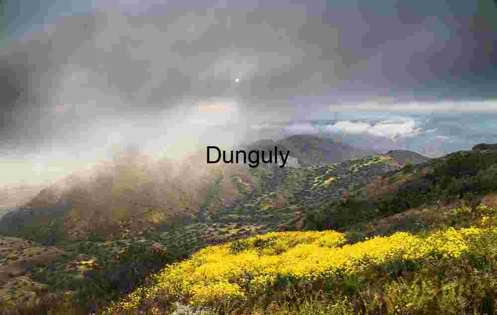 Golden Wildflowers Beneath Misty Mountain Skies