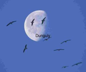 Moonlit Passage: Birds in Celestial Motion