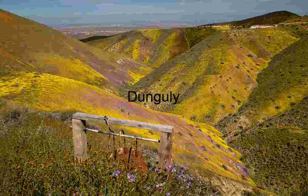 Golden Bloom Path – Carrizo Plain