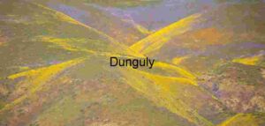 Wildflower Symphony Across Mountain Slopes