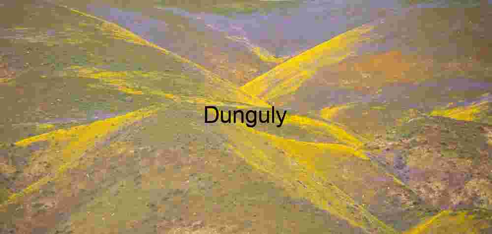 Wildflower Symphony Across Mountain Slopes