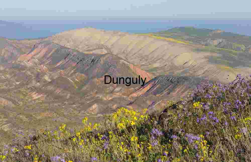 Chromatic Earth: Wildflowers Beneath Painted Peaks