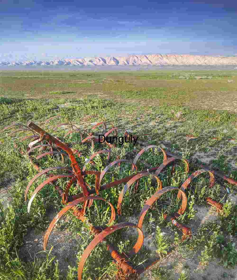 Rust and Reverence: Abandoned Cultivator on the Plains