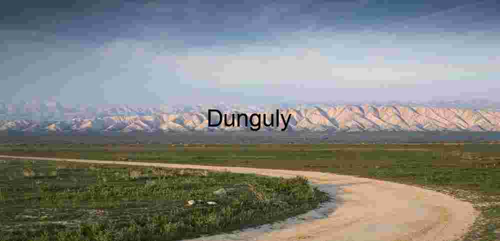 Winding Path to Solitude: Dirt Road Through Mountain Plains