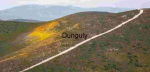 Wildflower Trail Through Rugged Hills