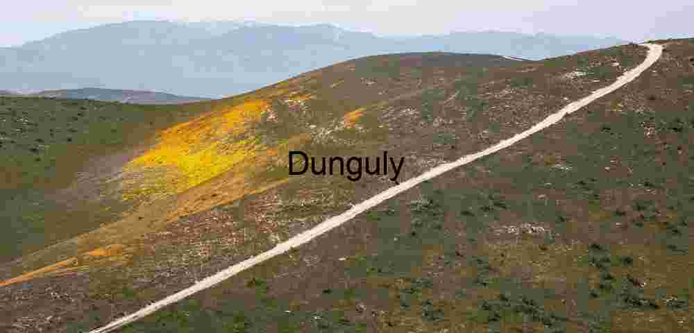 Wildflower Trail Through Rugged Hills