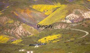 Spring Bloom Journey: Wildflowers and Winding Trails