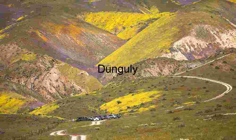 Spring Bloom Journey: Wildflowers and Winding Trails