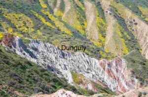 Tilted Earth: Strata and Spring Wildflowers in Mountain Light