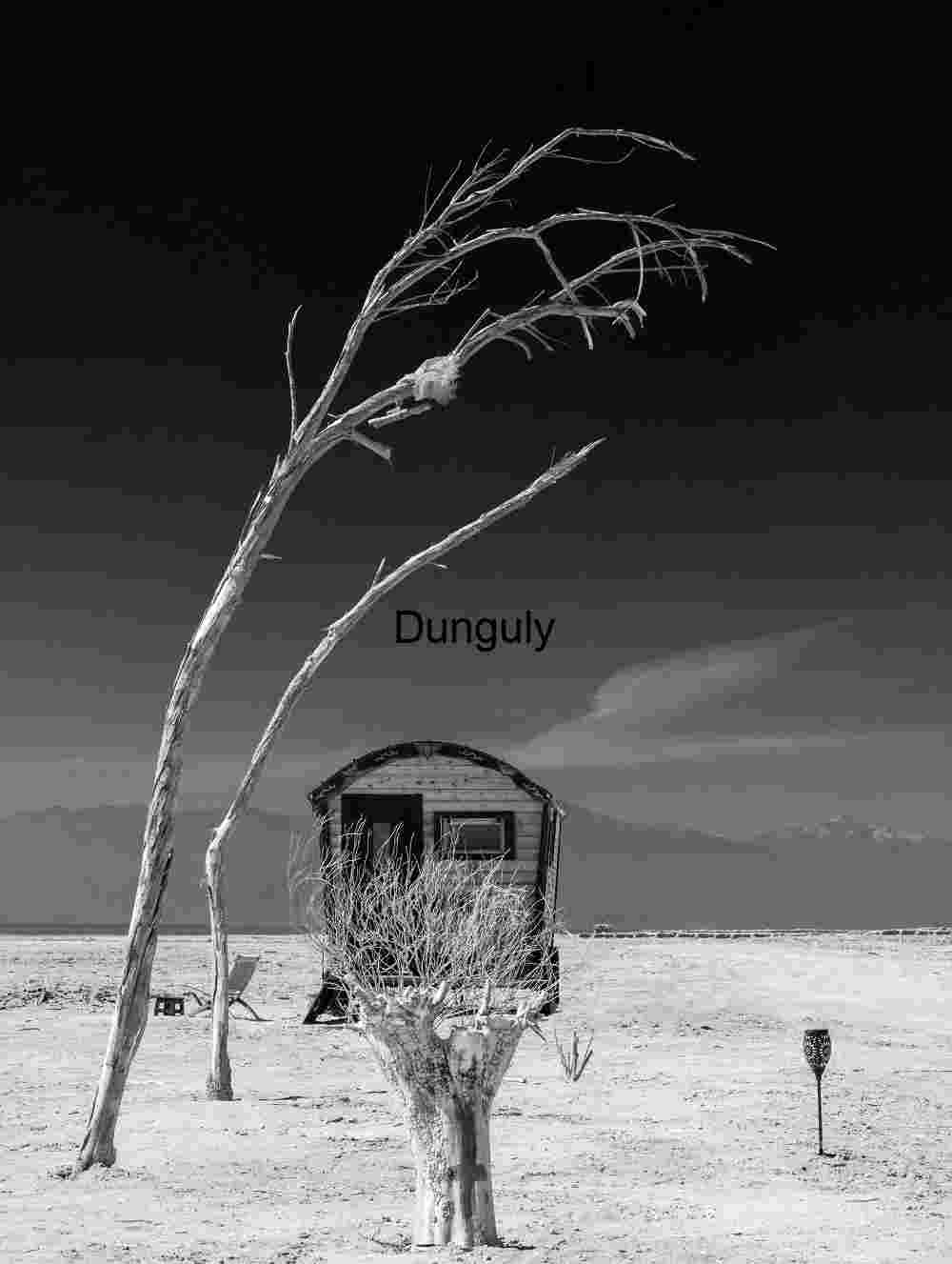 Station 50: Silence Beneath Twisted Skies