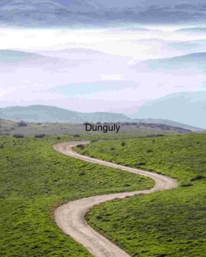 Mist Over the Path: Winding Road Through Verdant Silence