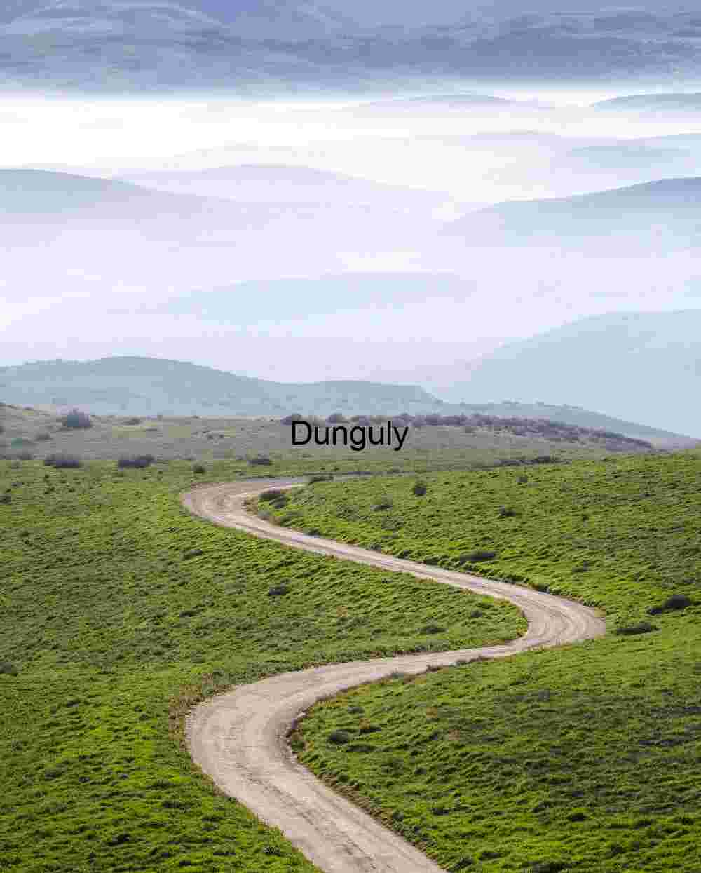 Mist Over the Path: Winding Road Through Verdant Silence